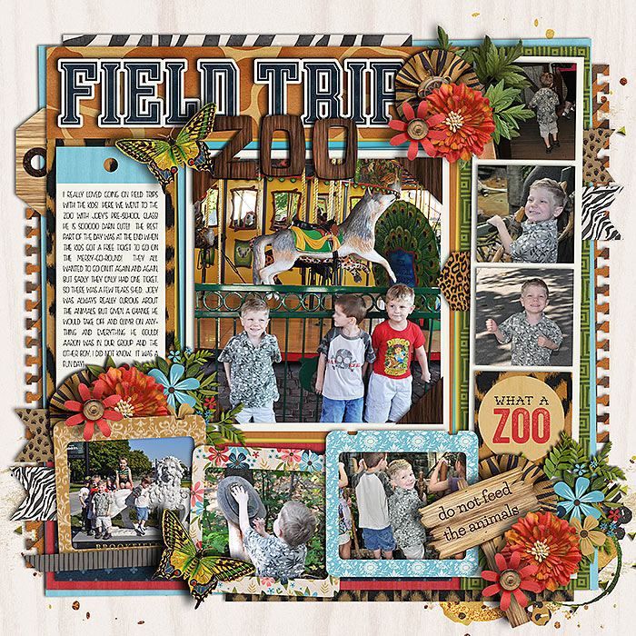 Six Pack 18