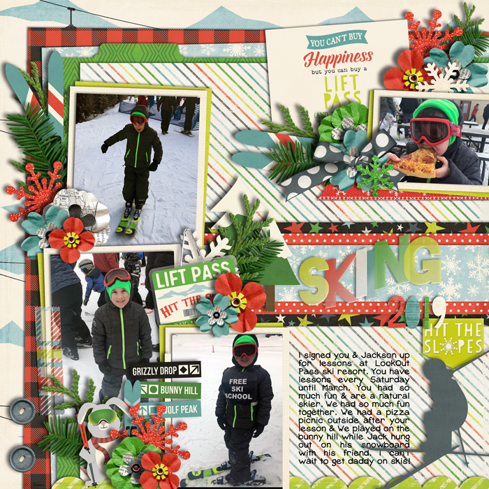 skiing2019web