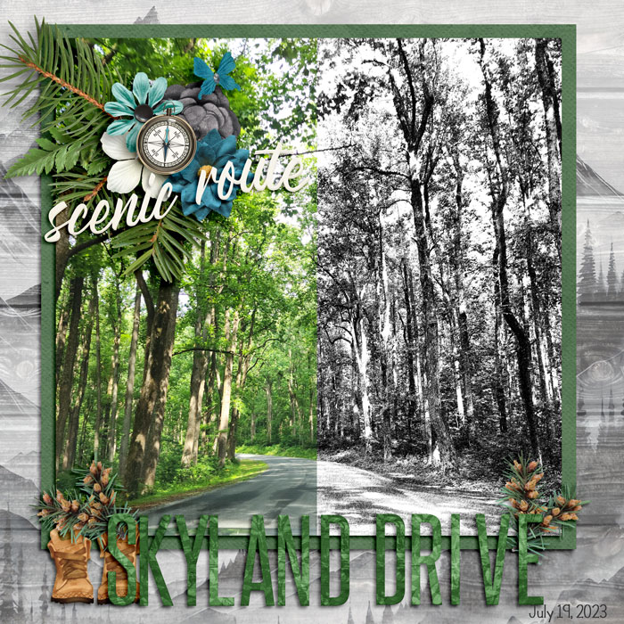 Skyland Drive 23