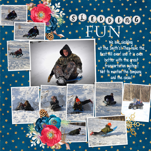 sledding fun