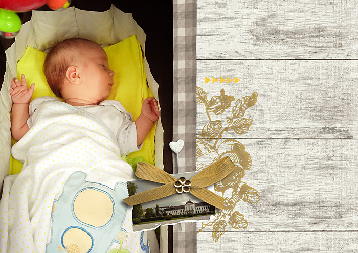 Sleeping baby LEFT