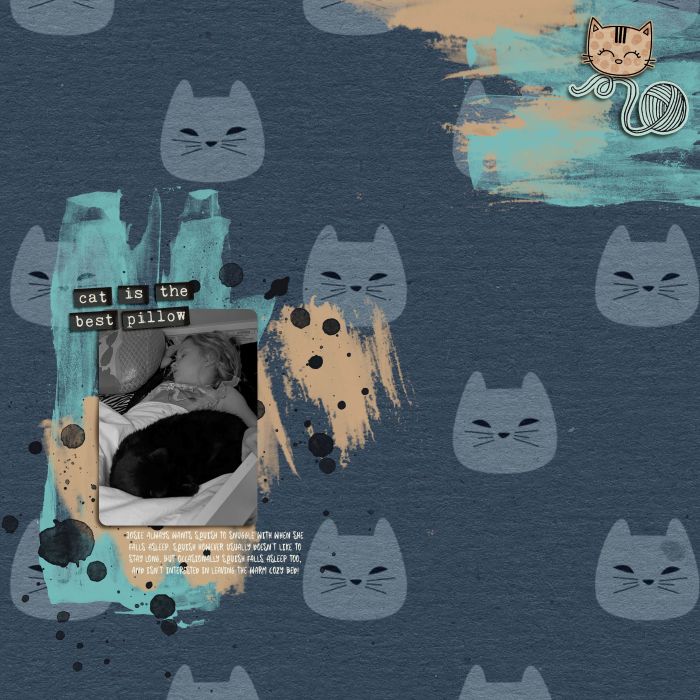 Sleeping kitty and kid