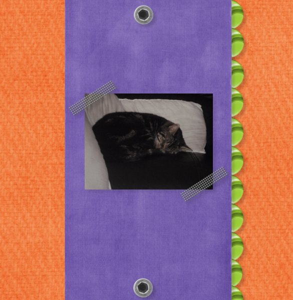 Sleeping Meg