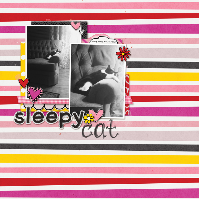Sleepy Cat