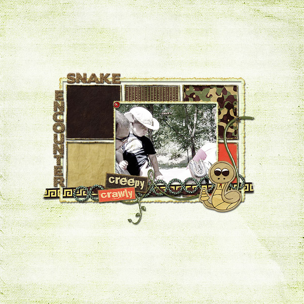 Snake Encounter