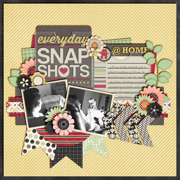 Snap Shots