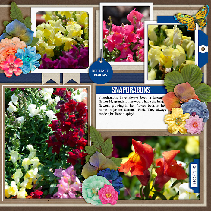 Snapdragons