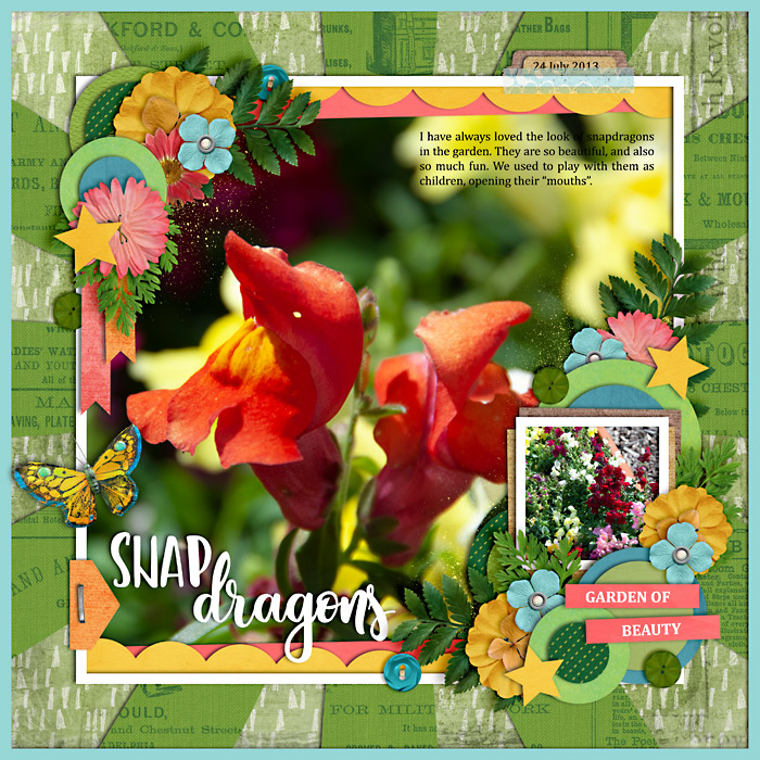 Snapdragons