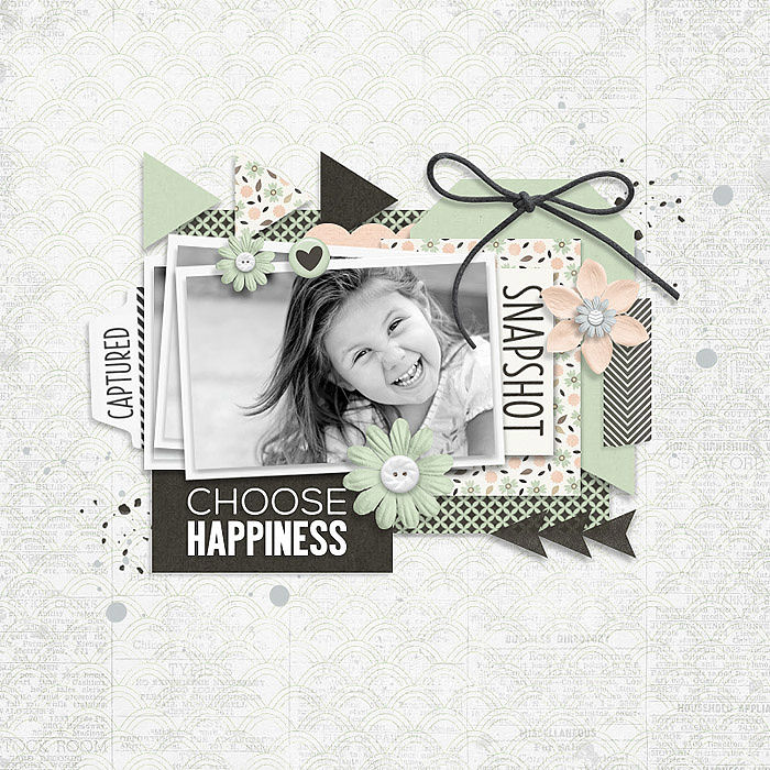 Snapshot
