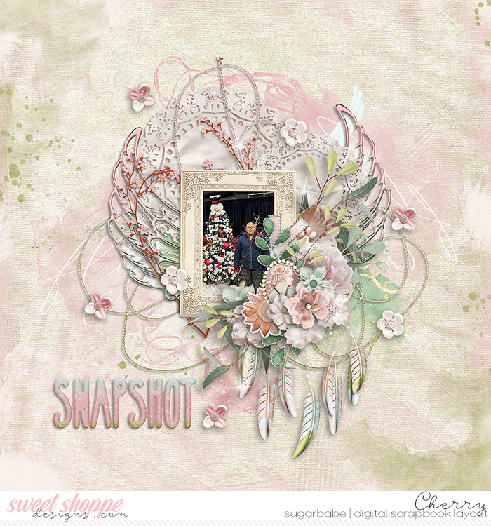 Snapshot