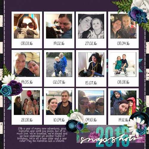 Snapshots 2016
