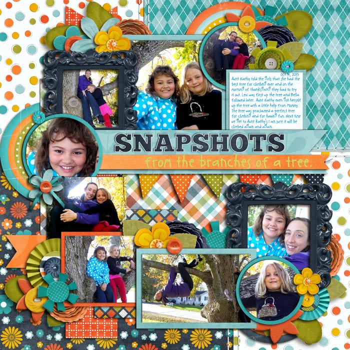 Snapshots from the branches of a tree