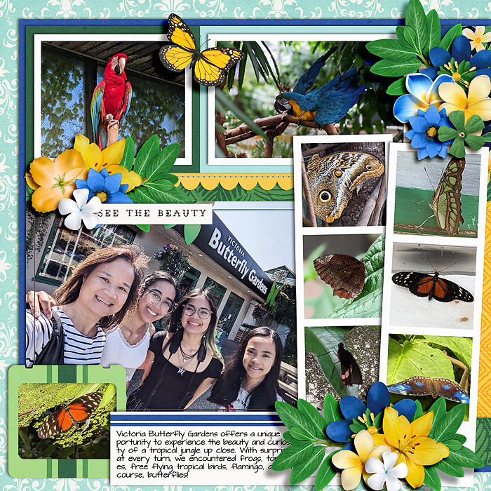 Snapshots - Left