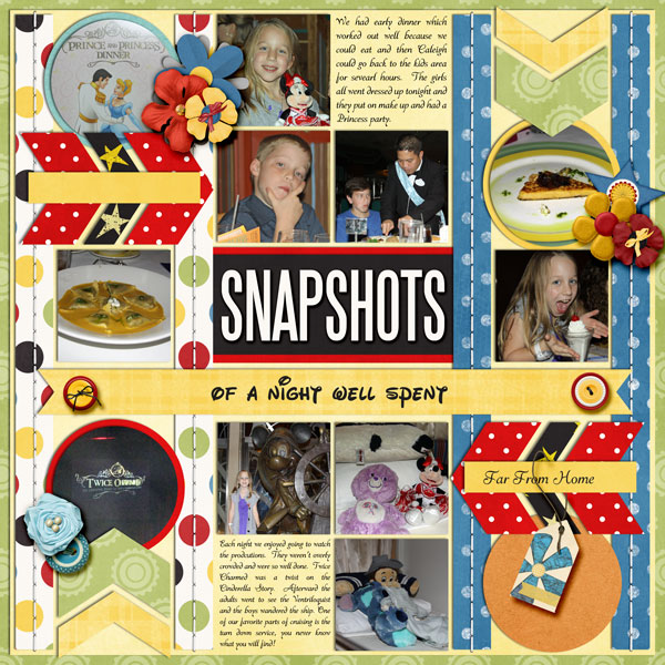 Snapshots of a night
