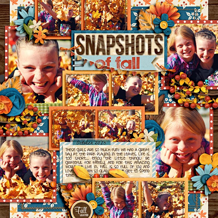 Snapshots of Fall