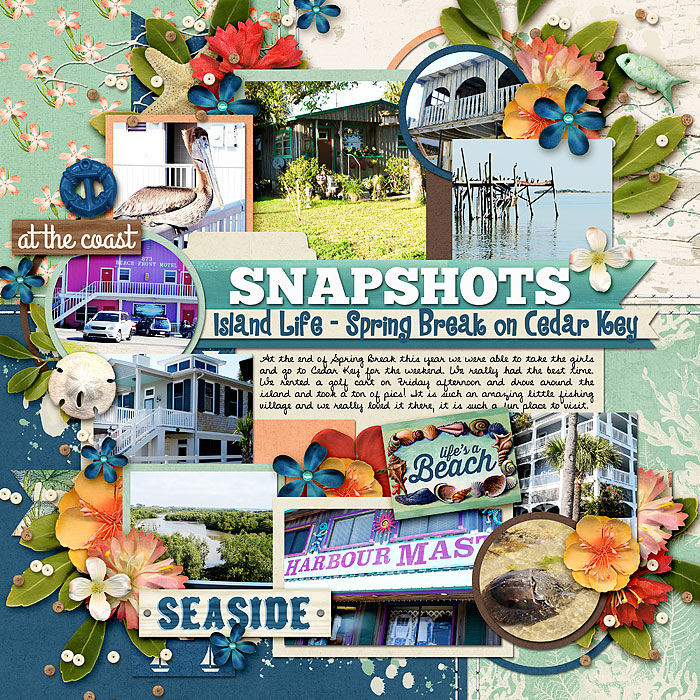 Snapshots of Island Life