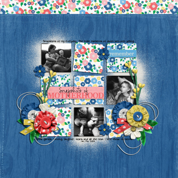 snapshots of motherhood