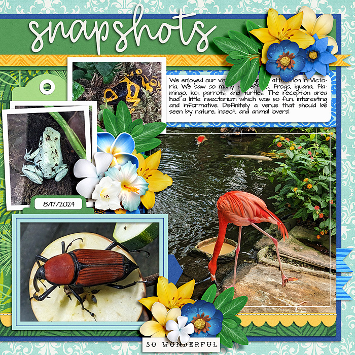 Snapshots - Right