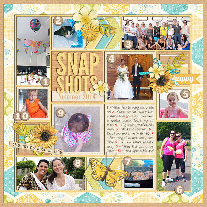 Snapshots Summer 2014