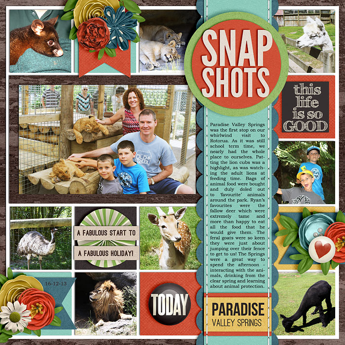 Snapshots