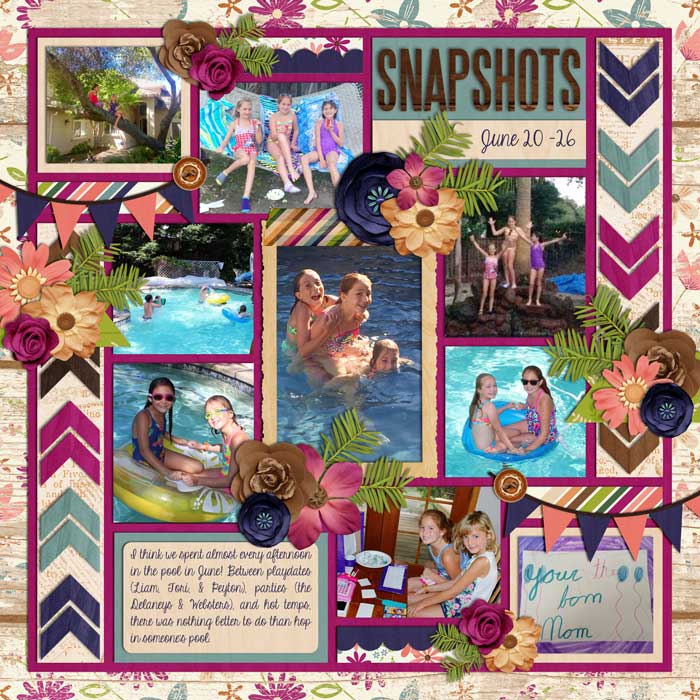 SNAPSHOTS