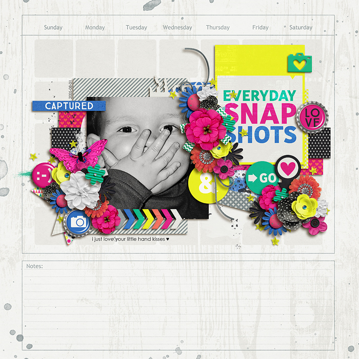 Snapshots