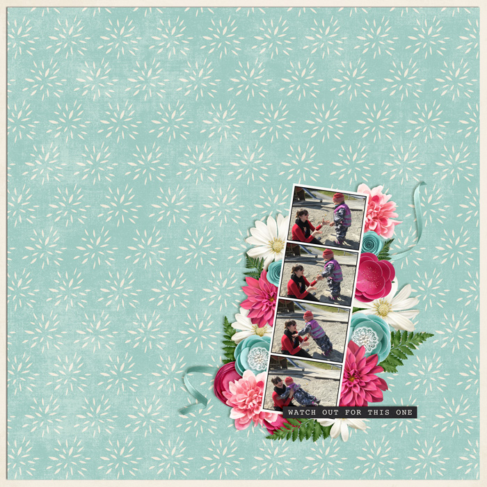 Snapshots