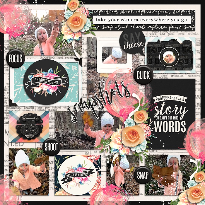 Snapshots