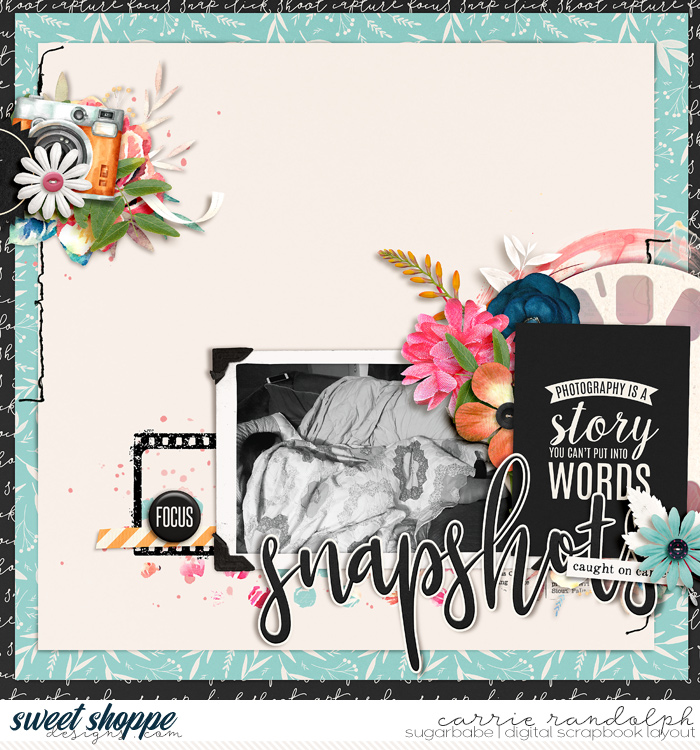 Snapshots