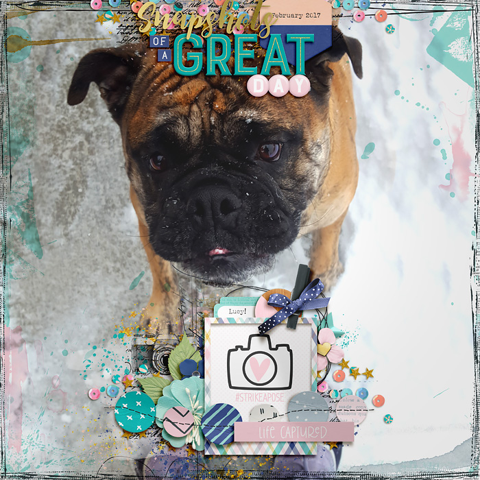 Snapshots