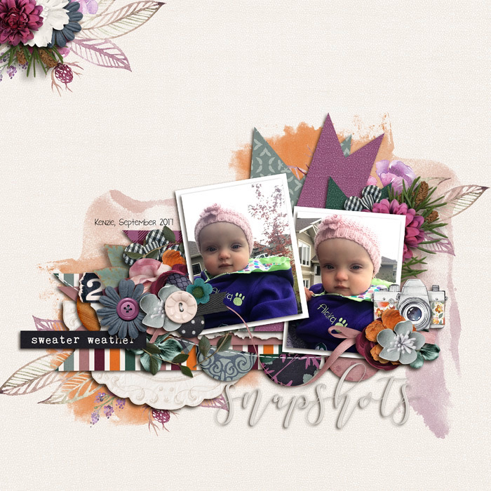 Snapshots