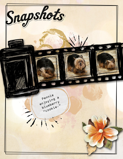 Snapshots