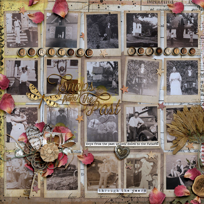Snapshots