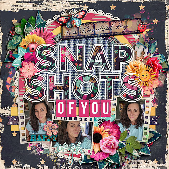 Snapshots