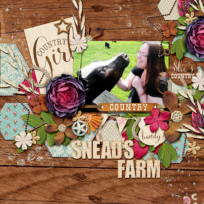 Snead's Farm