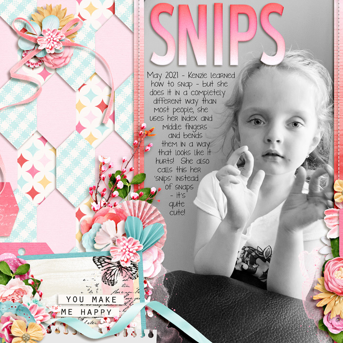 Snips