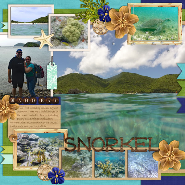 Snorkel