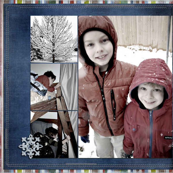 Snow 2010