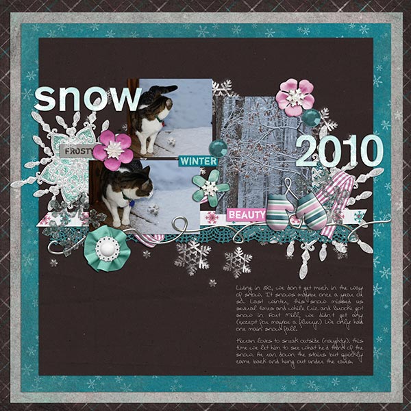 snow 2010