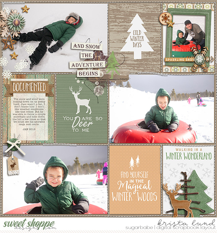 Snow Adventure