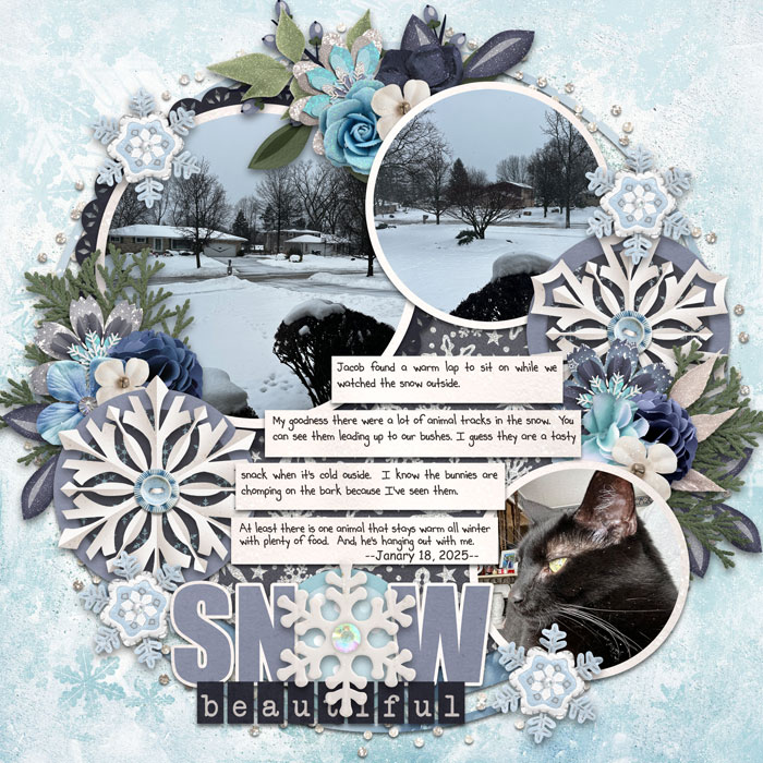 Snow Beautiful