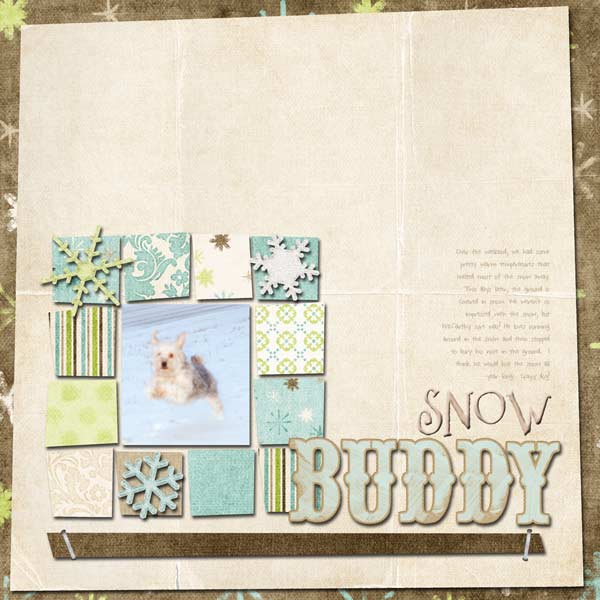snow buddy