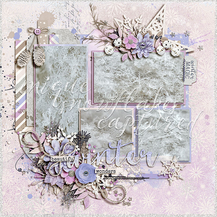 Snow Close-up