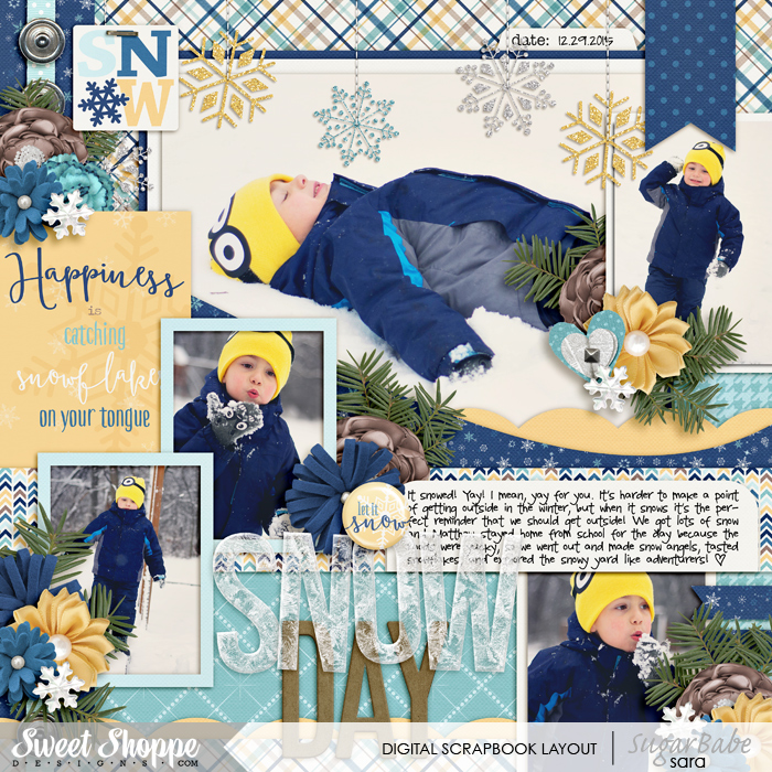 snow-day-copywm