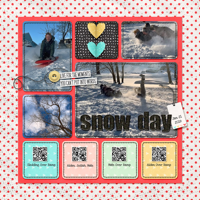 Snow Day Sledding L