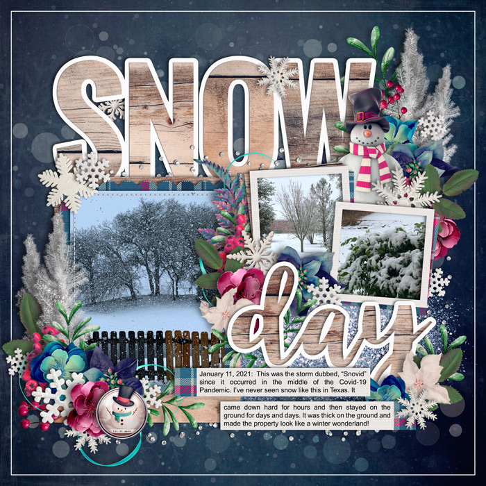 Snow Day