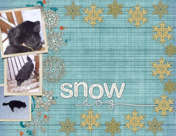 Snow Dog