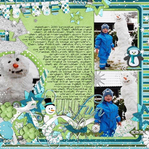 Snow Fun