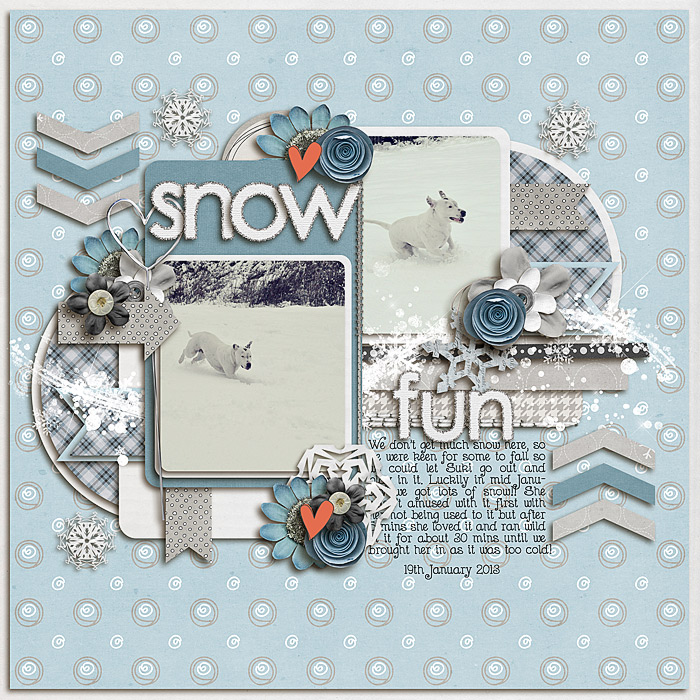 Snow Fun