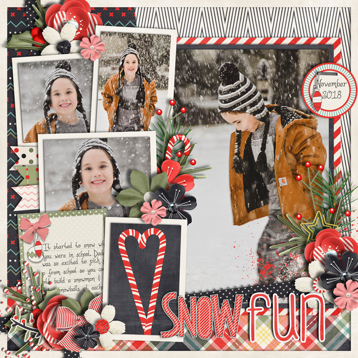Snow Fun